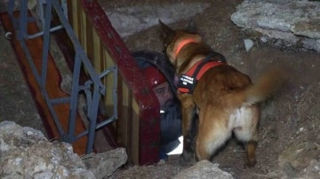 Kırıkkale’de Arama Kurtarma Köpekleri Gecenin Ayazında Tatbikat Yaptı
