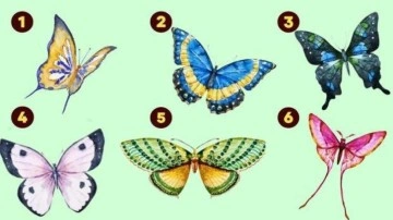 Kişilik testi: Seçtiğiniz kelebeğe göre en önemli özelliğiniz ortaya çıkacak!