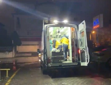 Kocaeli TEM Otoyolu’nda Panelvanın Tıra Çarpması: Sürücü Hayatını Kaybetti