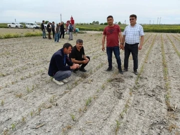 Konya’da ekili alanlarda incelemeler sürüyor
