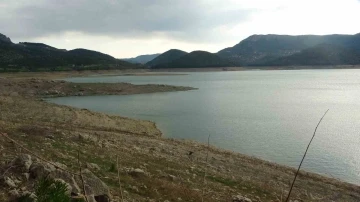 Kozan Barajı’nda su seviyesi yüzde 28’e düştü
