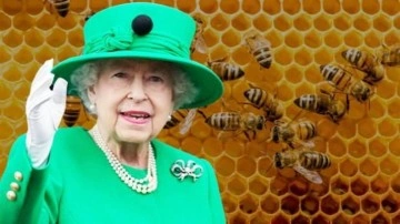 Kraliçe 2. Elizabeth'in ölümü, bal yapan arılara da söylendi