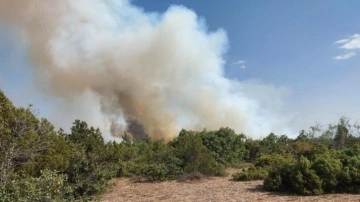 Kütahya ve Çanakkale'de orman yangını!