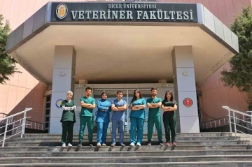 Kuzey Irak’tan 14 veteriner hekim adayı Diyarbakır’da staj yapacak

