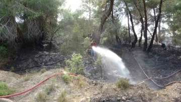 Manavgat’ta orman yangını ucuz atlatıldı
