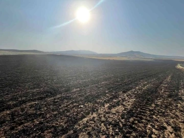 Manisa’da 2 bin dönüm ekili arazi yandı
