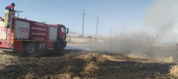 Mardin’de buğday ekili arazide yangın, 55 dönüm kül oldu
