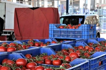 Mayıs ayında domates üretiminde artış, fiyatında düşüş yaşandı

