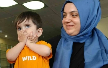 Mehmet Ali bebeğin umudu yeşerdi: 60 milyon TL toplandı
