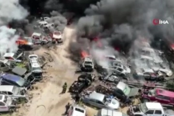 Meksika’da çalılıklarda çıkan yangın otoparka sıçradı: 20 araç küle döndü