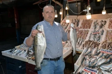 Mersin'de av yasağıyla günlük balık çeşidi 15'e düştü ancak fiyatlar artmadı