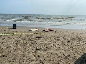 Mersin'de denizde boğulan 2 kız kardeş, Hatay'da toprağa verildi