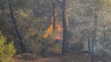 Mersin'de orman yangını, 2'nci gününde devam ediyor