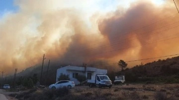 Mersin'de orman yangını çıktı. 110 haneden 450 kişi tahliye edildi