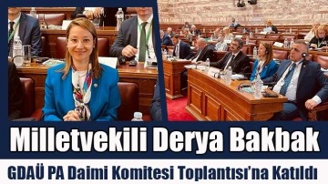 Milletvekili Derya Bakbak, GDAÜ PA Daimi Komite Toplantısı’na Katıldı