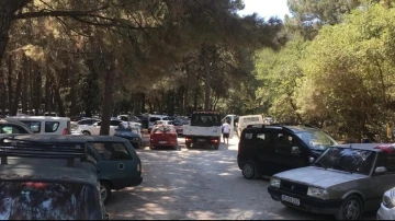 Milli Park’a günlük araç giriş kapasitesi belirlendi
