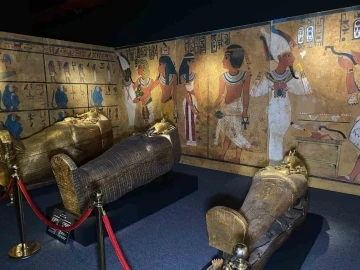 Mısır’ın çocuk kralı TutAnkhAmun’un hazinesi İstanbul’da
