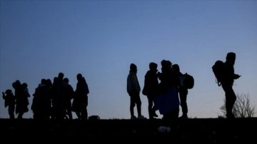 Muğla'da 33 düzensiz göçmen yakalandı