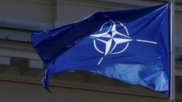 NATO'dan iki ülkeye acil çağrı!