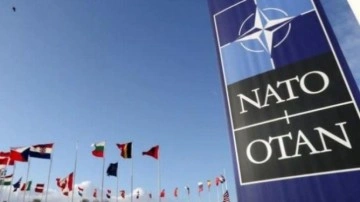 NATO'dan Ukrayna'ya askeri destek talebi
