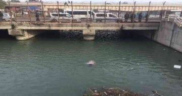 Nehirde bulunan erkek cesedi vinçle çıkarıldı
