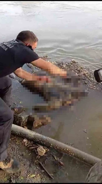 Nehirde erkek cesedi bulundu
