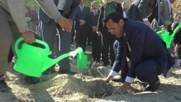 Nevşehir’de 66 bin 660 lavanta toprakla buluştu
