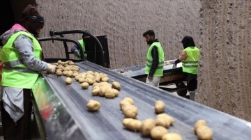 Nevşehir'deki Doğal Depolar Patates İhtiyacını Karşılıyor