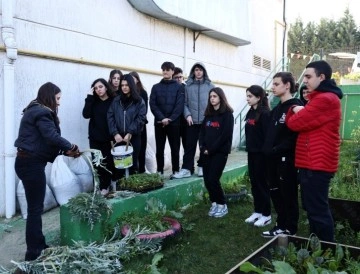 Nilüfer Belediyesi Enginar ve Çilek Fideleriyle Öğrencileri Tarımla Buluşturdu