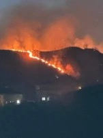 Of İlçesi Ormanlık Alanında Yangın Çıktı