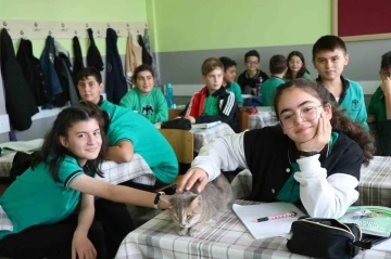 Öğrencilerin sıra arkadaşı ‘Duman’ isimli kedi

