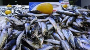 Olumsuz hava şartları sonrası avlanma azaldı, balık fiyatları 2'ye katladı
