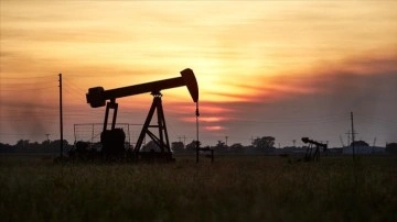 OPEC+ Ülkelerinden Petrol Üretim Kesintisi Kararı Alındı