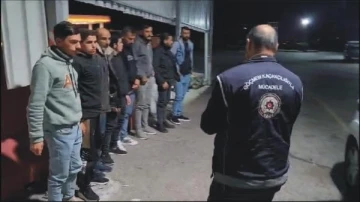 Osmaniye'de, hafif ticari araçta 6 kaçak göçmen yakalandı 