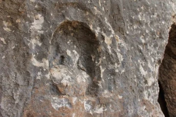 Perre Antik Kent’teki saha taramasında ilginç mezar kabartmaları ortaya çıktı
