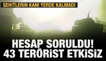 PKK'dan hesap soruldu! 43 terörist etkisiz hale getirildi