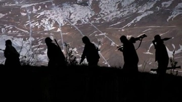 PKK'dan kaçan teröristler teslim oldu