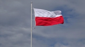 Polonya Büyükelçilerinin Geri Çağrılması Kararı