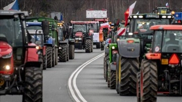 Polonya'daki Çiftçi Protestoları AB Tarım Politikalarına Tepki Gösteriyor