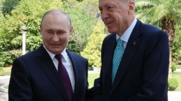Putin, Soçi'de Erdoğan'a ‘harço’ çorbası ve ‘kuş sütü’ tatlısı ikram etti
