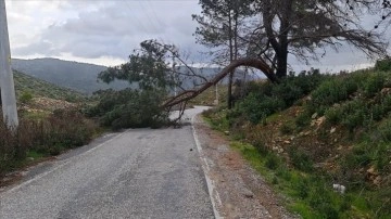 Rüzgar ve Sağanak Yağış Bodrum ve Marmaris'i Vurdu