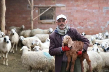 Sağlık Bakanına şiir yazan çoban muhtarlığı kaybedince akrabalarına sitem etti
