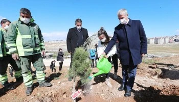 Şahinbey'de 26 bin ağaç dikilecek