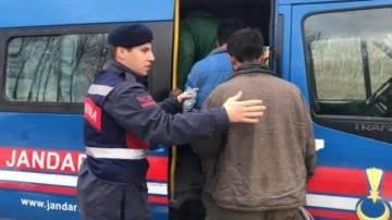 Sakarya'da 7 düzensiz göçmen yakalandı