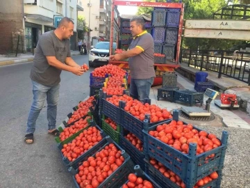 Salçalık domates fiyatları el yakıyor
