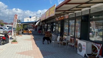 Samandağ'ın Sutaşı Mahallesi'nde Yeni Prefabrik Çarşı Hizmete Açıldı