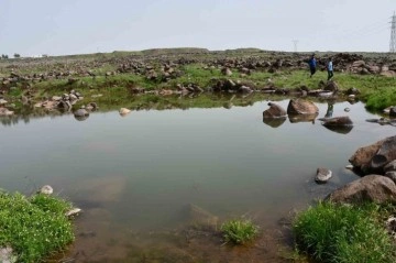 Şanlıurfa'da Gölete Giren Çocuklardan İkisi Boğulma Tehlikesi Geçirdi