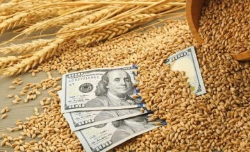 Savaş paniği başladı: Buğday fiyatlarına yüzde 20 zam gelebilir