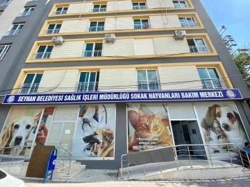 Seyhan’da bin 236 sokak kedisini ücretsiz olarak kısırlaştırdı
