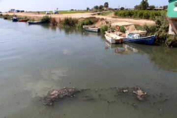 Seyhan Nehri'nin Akdeniz'e döküldüğü noktada kirlilik alarm veriyor